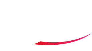 SN Nageldesign Logo